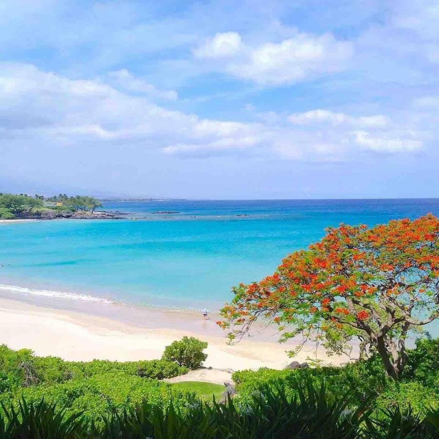 Family Friendly Kailua Bay View Ac Free Parking Walk To Kailua Village Buitenkant foto